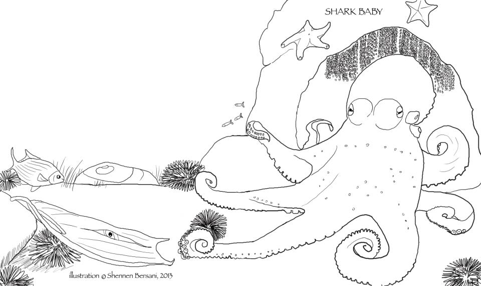 Shark Baby coloring page Shennen Bersani