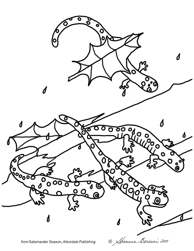 Spotted salamanders Big Night coloring page. Shennen Bersani