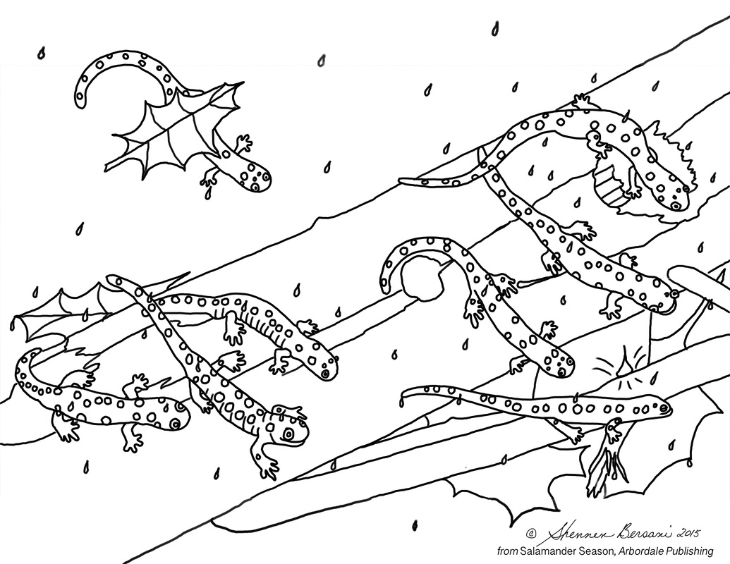 Spotted salamanders coloring page.  Shennen Bersani