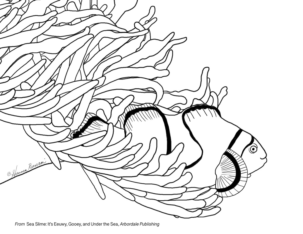clownfish coloring page Shennen Bersani illustrator